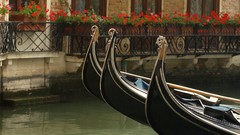 Italy venice gondolas