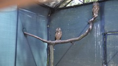 Italy World Wildlife Fund Vanzago