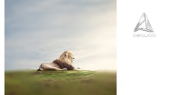 Ivson monteiro design gráfico