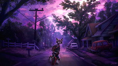 Jacato raccoons furry anthropomorphic anthro