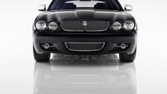 Jaguar high Resolution