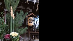 Japan 206 japan views