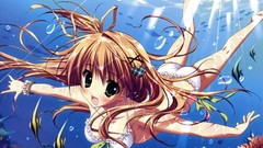 Japan Anime cartoons hoshizora e kakaru hashi Nakatsugawa Ui