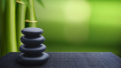 Japan bamboo rocks Zen