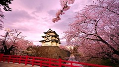 Japan Castles cherry blossoms Hirosaki Castle