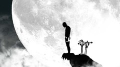 Japan fight mma Silva