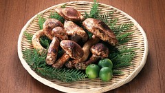 Japan food Japanese food food art