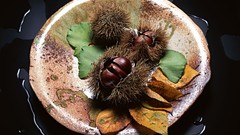 Japan food Japanese food food art