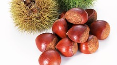 Japan food Japanese food food art