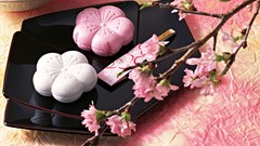 Japan food Japanese food food art