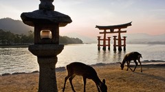 Japan gate itsukushima shrine shrine torii shinto