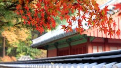 Japan houses architects