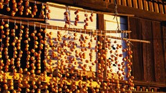 Japan houses architects