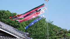 Japan Koinobori