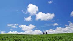 Japan Landscapes Hokkaido