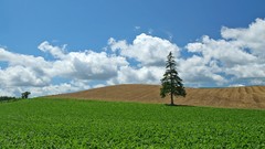 Japan Landscapes Hokkaido