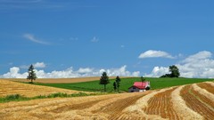Japan Landscapes Hokkaido