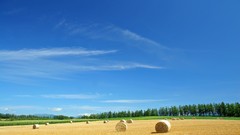 Japan Landscapes Hokkaido