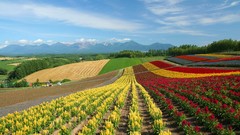 Japan Landscapes Hokkaido