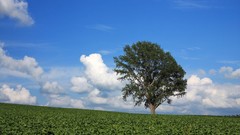 Japan Landscapes Hokkaido