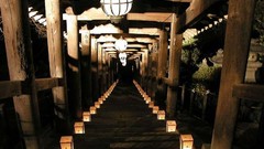Japan lanterns night view