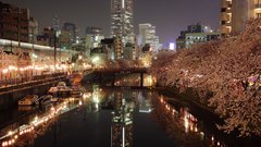 Japan Tokyo yokohama