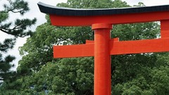 Japan torii japan views
