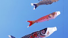 Japan toys (children) japan views Koinobori Japanese traditions