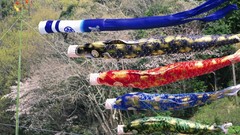 Japan toys (children) japan views Koinobori Japanese traditions