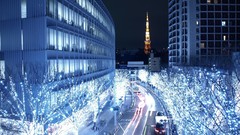 Japan Trees cityscapes night