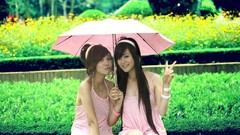 Japanese asians japanese macaque Japanese architecture Japanese 