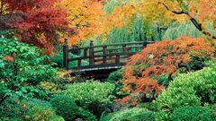 Japanese Garden Washington Park