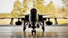 Jas 39 Gripen jet-fighter airplane Aircraft sky vehicle military