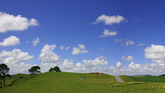 Jase New Zealand small