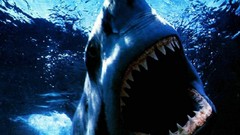 Jaws Sharks