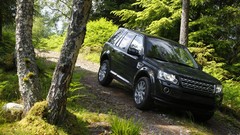 Jeep SUV Land Rover Freelander forests