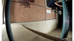 Jeremy plisson shifty back