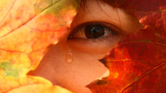 Joy autumn tears hope high Resolution 0021