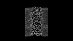 Joy division