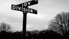 Joy division street signs