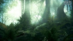 Jungle artwork Nexon Games Vindictus Mabinogi Heroes