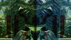 Jungle far cry 3 insane Rorschach test Insanity rook island