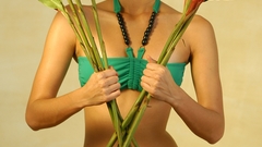 Jungle high emerald res Resolution anika