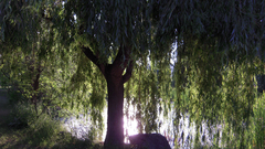 Just what amp around found heres googled wil