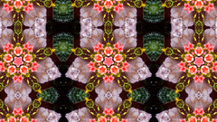 Kaleidoscope