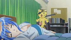 Kampfer senou natsuru