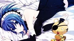 Kampfer senou natsuru