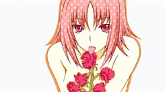 Kampfer Simple Background Mishima