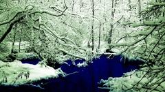 Kaplow changed Other colors