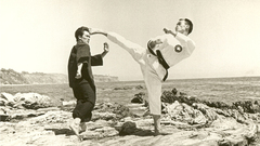 Karate highkick roundhouse Martial